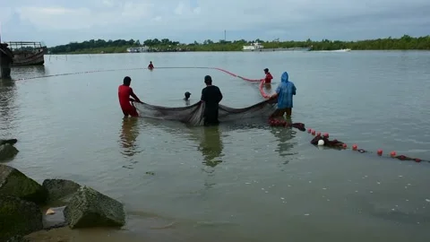Fishermen Pulling Large Fishing Net in River During High Tide Stock Footage 319462421