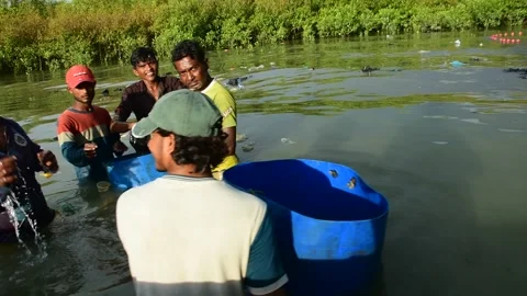 Fishermen Pulling Large Fishing Net in River During High Tide Stock Footage 319462425