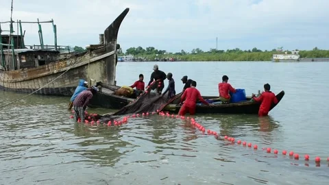 Fishermen Pulling Large Fishing Net in River During High Tide Stock Footage 319462427