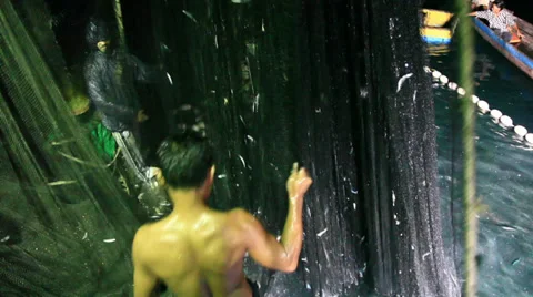 Fishermen Pulling in Large net at night, Hitting Fish back into Net 스톡 동영상 33137606