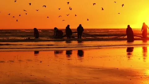 Fishermen Pulling Net on Atlantic Shore at Orange Sunset e in Portugal Stock Footage 310390601