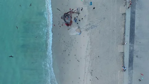 Fishermen Pulling Net of Fish on Beach Stock Footage 331174074