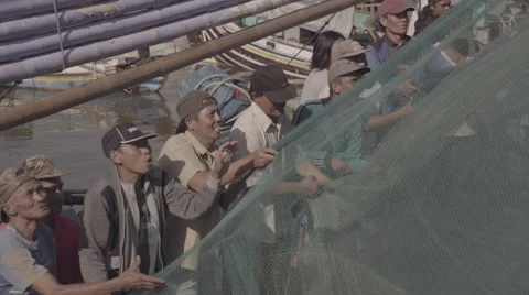Fishermen pulling net at the harbor. Stock Footage 67373759