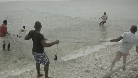 Fishermen Pulling a Net to Shore Stock Footage 85090335
