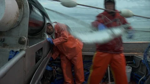 Fishermen remove salmon from nets in Bristol Bay, AK. Stock Footage 92074850