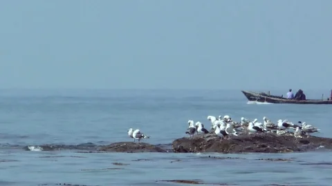 Fishermen return from fishing Stock Footage 77457342