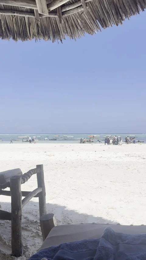 Fishermen returning with catch seen from beach lounge in Matemwe Vidéo 344188286
