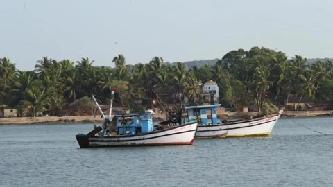 Fishermen on the river catch fish Stock Footage 147554525