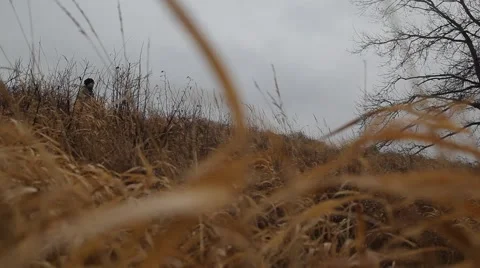 Fishermen to the river Video stock 48895704