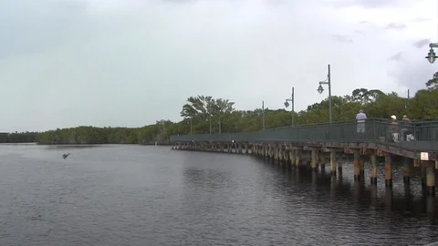 Fishermen at river 스톡 동영상 88868668