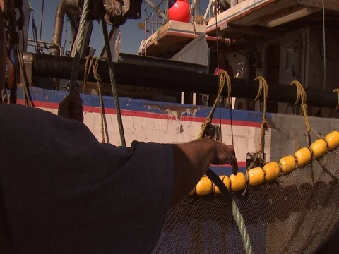 FISHERMEN SCOOPING FISH FROM SEINE NET TO SHIP Stock Footage 76610558