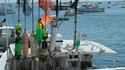 Fishermen sorting catch in bins Stock Footage 829782