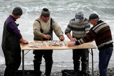 Fishermen sorting freshly caught barbel fish for the local market. Foto stock