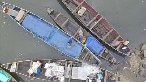 Fishermen sorting out their fish in pirogue Stock Footage 81313169