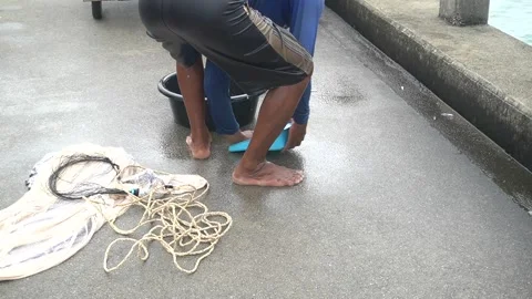 Fishermen sow nets to catch fish in the sea. They got small fish. Stock Footage 140237404
