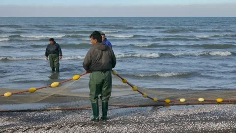 Fishermen standing in shallow waves with yellow float net along shore Stock Footage 320462758