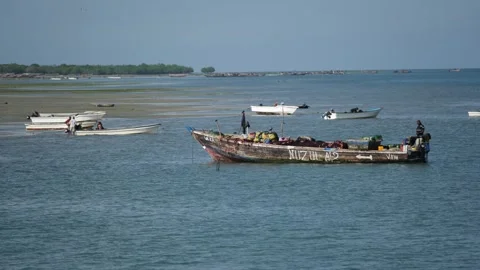 Fishermen Trying to Catch Fish Along the Shore at Low Tide, January 21, 2025, Video stock 336896129