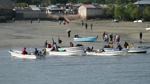 Fishermen Trying to Catch Fish Along the Shore at Low Tide, January 21, 2025, Video stock 336896146