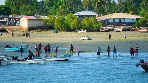 Fishermen Trying to Catch Fish Along the Shore at Low Tide, January 21, 2025, Video stock 336896162