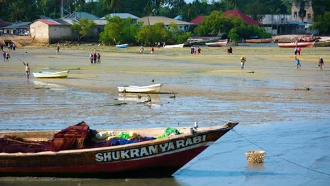 Fishermen Trying to Catch Fish Along the Shore at Low Tide, January 21, 2025, Video stock 336896174