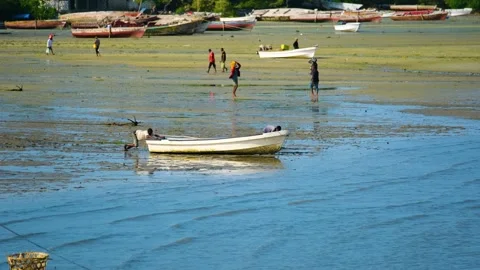 Fishermen Trying to Catch Fish Along the Shore at Low Tide, January 21, 2025, Video stock 336896204