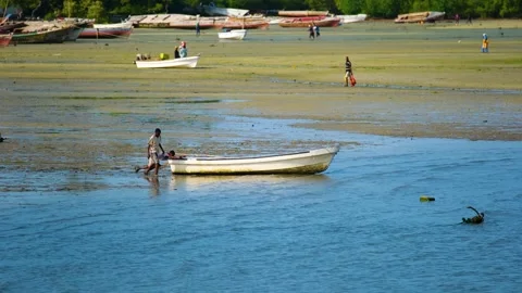 Fishermen Trying to Catch Fish Along the Shore at Low Tide, January 21, 2025, Video stock 336896220