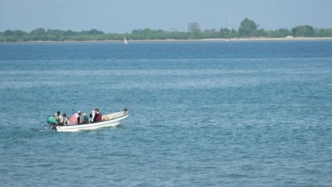 Fishermen Trying to Catch Fish Along the Shore at Low Tide, January 21, 2025, Video stock 336896318