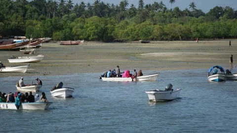 Fishermen Trying to Catch Fish Along the Shore at Low Tide, January 21, 2025, Video stock 336896490