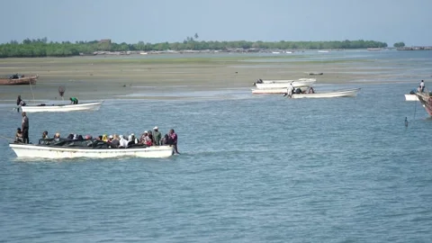 Fishermen Trying to Catch Fish Along the Shore at Low Tide, January 21, 2025, Video stock 336896504