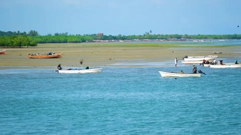 Fishermen Trying to Catch Fish Along the Shore at Low Tide, January 21, 2025, Video stock 336896523