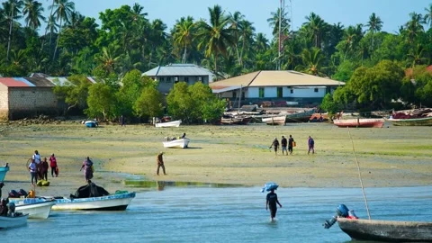 Fishermen Trying to Catch Fish Along the Shore at Low Tide, January 21, 2025, Video stock 336896574