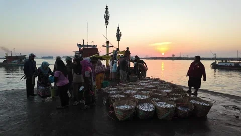 Fishermen unload baskets at dawn's gentle glow Stock Footage 345150747