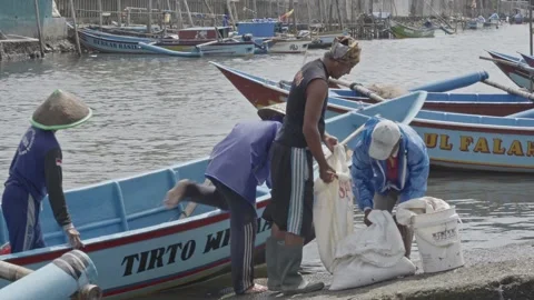Fishermen Unloading Fish Catch in Sacks at Harbor Indonesia Vidéo 333982605