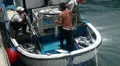 Fishermen unloading tuna from fisherman boat. HD Footage