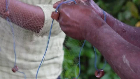 Fishermen using hand pulling fish out Stock Footage 319929510