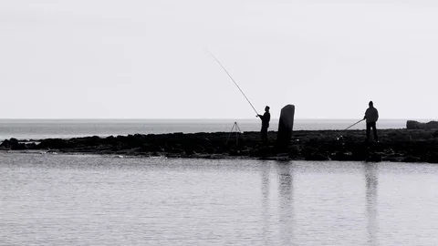 Fishermen waiting Stock Footage 105325797