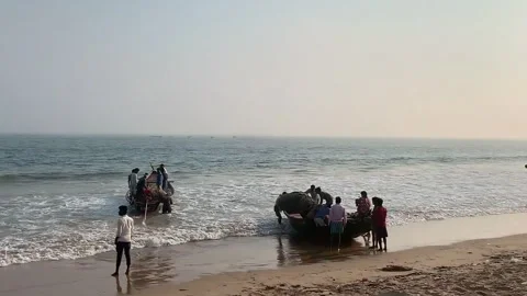 Fishermen work with nets on a sandy beach in India Stock-Footage 306685298