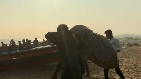Fishermen work with nets on a sandy beach in India Stock Footage 306775110