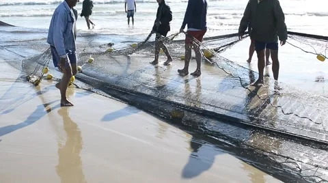 Fishermen at work. The season is on. Stock Footage 64797148