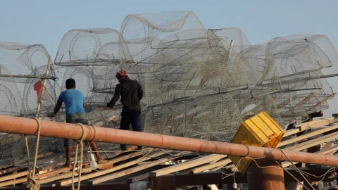 Fishermen working in Bahrain 02 Video stock 87538236