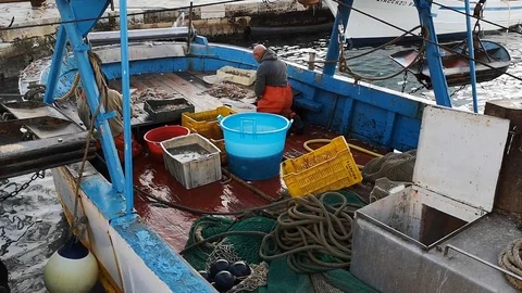 Fishermen's at work Stock Footage 111854031