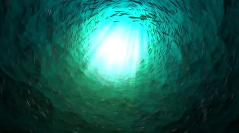 Fishers of Men Stock Footage 8954629