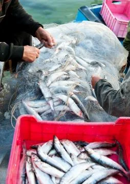 Fishers at work Stock Photos