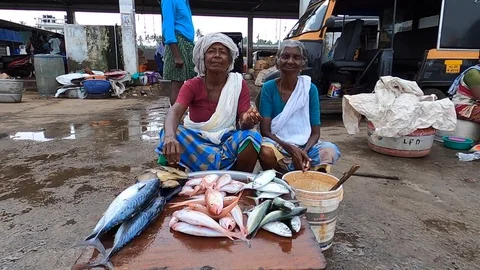 Fisherwomen Stock Footage 127643264
