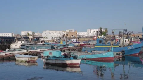 Fishery of algeria Stock Footage