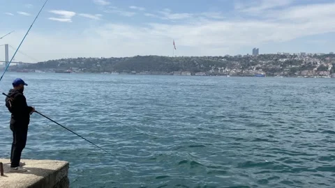 Fishery Stock Footage 238858987