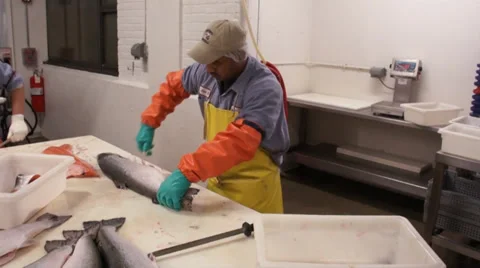 Fishery wide table  worker Stock Footage 36988052