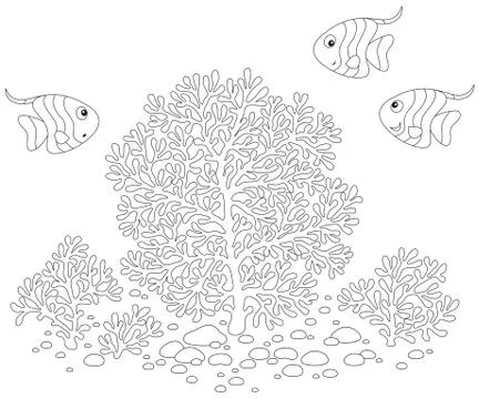 Fishes and corals Stock Illustration