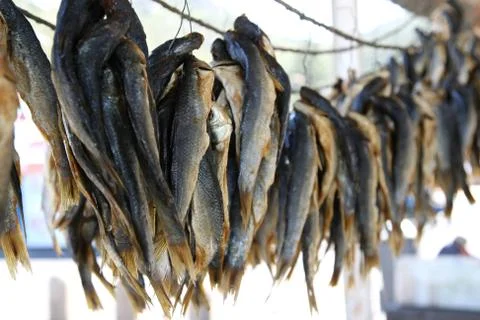 Fishes Drying Stock Photos