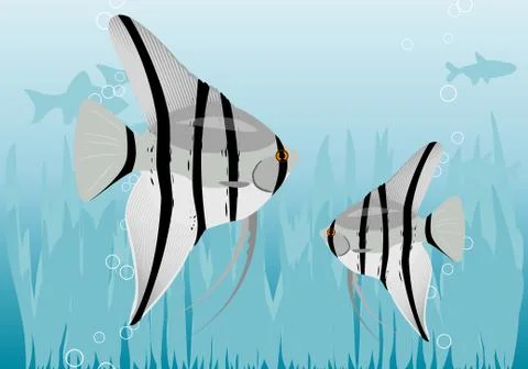 Fishes Stock Illustration